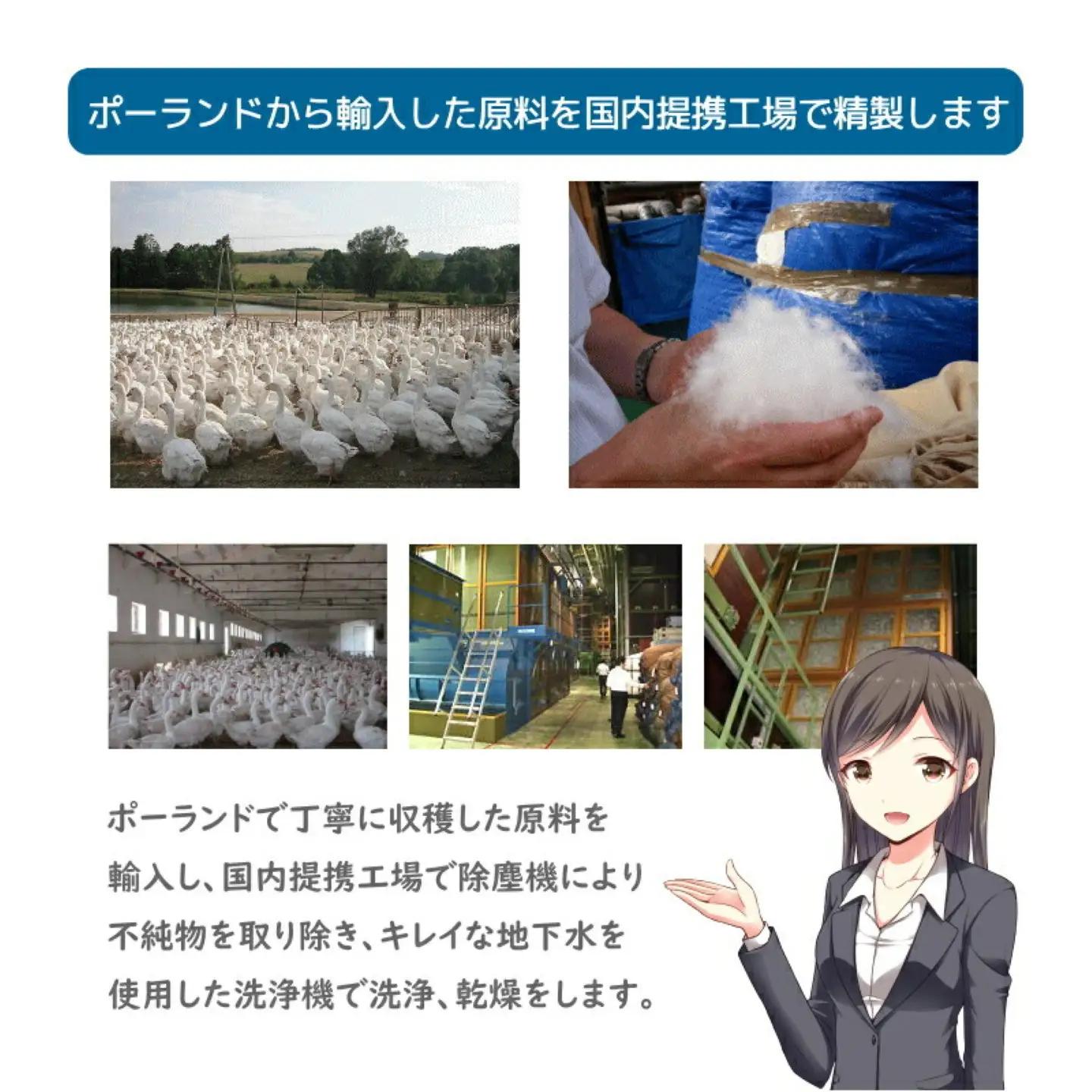 ダブル【プレミアムゴールドラベル】コウダ種ポーランドマザーグース95%羽毛【新津】｜ 肌掛け
