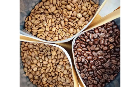 コーヒー 〈スペシャルティコーヒー飲み比べ〉コーヒー豆100g×2種（中煎＆深煎）豆or粉 食品 お菓子 モンキーポッド 豆 粉 コーヒー豆 珈琲 墨田区 東京都 粉