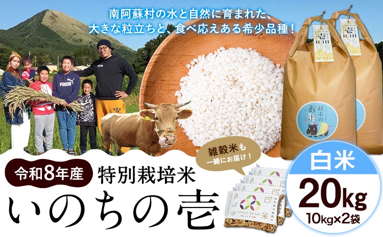 令和8年産 特別栽培米 いのちの壱 白米 20kg (10kg×2袋) 雑穀米付き 虹色のかば《30日以内に出荷予定(土日祝除く)》熊本県 南阿蘇村 熊本県産 お米 こめ コメ 米 精米---sms_inci6_30d_r8_53500_h20kg---