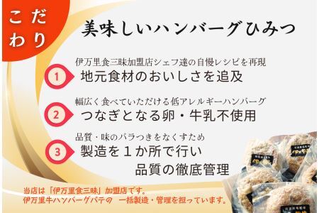 【殿堂入り達成！】伊万里牛ハンバーグ10個入（ソース付）J961