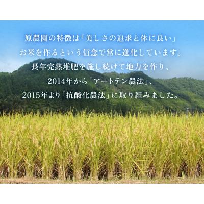 ふるさと納税 玖珠町 【令和8年産米先行受付】原さんちのお米 白米 4kg ひとめぼれ 米 お米 こめ コメ |  | 01