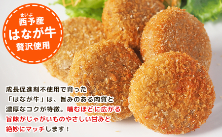 ＜はなが牛コロッケ 計5個＞ 5個入り オリジナル おつまみ お肉 牛肉 はなが牛 国産 ころっけ 肉加工品 冷凍食品 牛肉コロッケ 揚げ物 惣菜 お弁当 おかず 晩御飯 夕食 特産品 ゆうぼく 愛媛