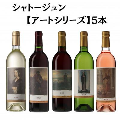 ふるさと納税 甲州市 シャトージュン　【アートシリーズ】5本　E-482