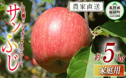 りんご サンふじ 家庭用 5kg カネタ柳澤 沖縄県への配送不可 2023年11月下旬頃から2023年12月下旬頃まで順次発送予定 令和5年度収穫分 長野県 飯綱町 [1474]