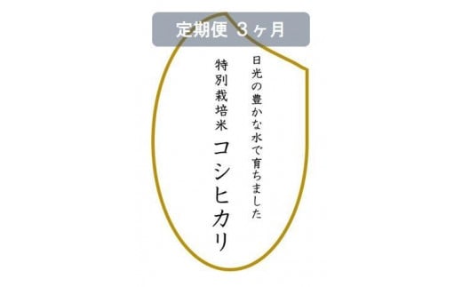 【定期便3ヶ月】令和6年産　特別栽培米コシヒカリ　白米10kg（5kg×2袋）