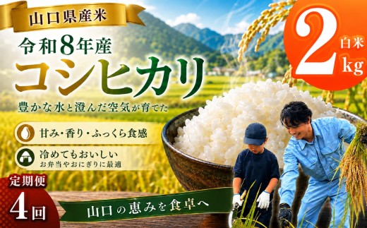 令和8年産 山口県産米 コシヒカリ 2kg 4回 定期配送 ｜ 令和8年産 コシヒカリ 山口県産米 こめ お米 コメ 白米 米 新米 ごはん 定期便 地元応援 瀬戸内 山口県 平生町 2kg