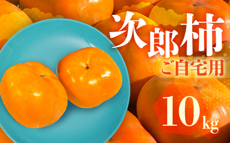 ≪先行予約≫ 生産量日本一 愛知県豊橋産 次郎柿 ご自宅用 10kg 柿 訳あり 不揃い 甘柿 果物 フルーツ 10月 11月 愛知県 豊橋市 ビタミンC 高栄養価 食物繊維 旬をおとどけ