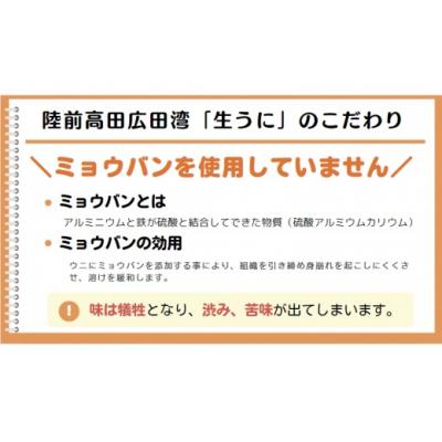 ふるさと納税 陸前高田市 【先行受付】 三陸産 生うに 100g 塩水パック 獲れたその日に出荷 ウニ 雲丹 天然 濃厚 旬 |  | 02