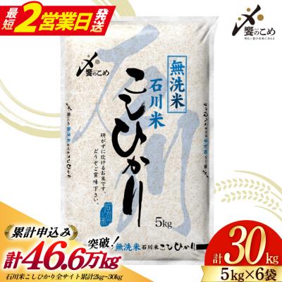 ふるさと納税 宝達志水町 米 令和7年 無洗米 こしひかり 精米 5kg 6袋 計 30kg [38601424-sp]