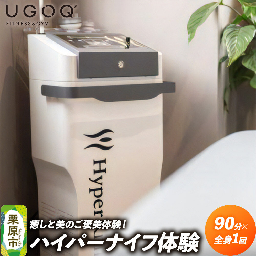 【ふるさと納税】体験 癒しと美のご褒美体験！ UGOQハイパーナイフ体験 90分全身1回券 【クロネコゆうパケット】 [癒し 美 ご褒美 ハイパーナイフ シェイプアップ 本格 美容 健康 体験 宮城県 栗原市 UGOQ]