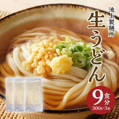 ふるさと納税 高松市 本場讃岐うどん 生うどん9食セット(鎌田だし醤油付)