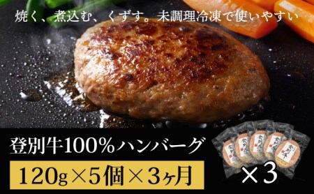 肉のあさひ 登別牛100％使用ハンバーグ 120g×5個[全3回お届け]