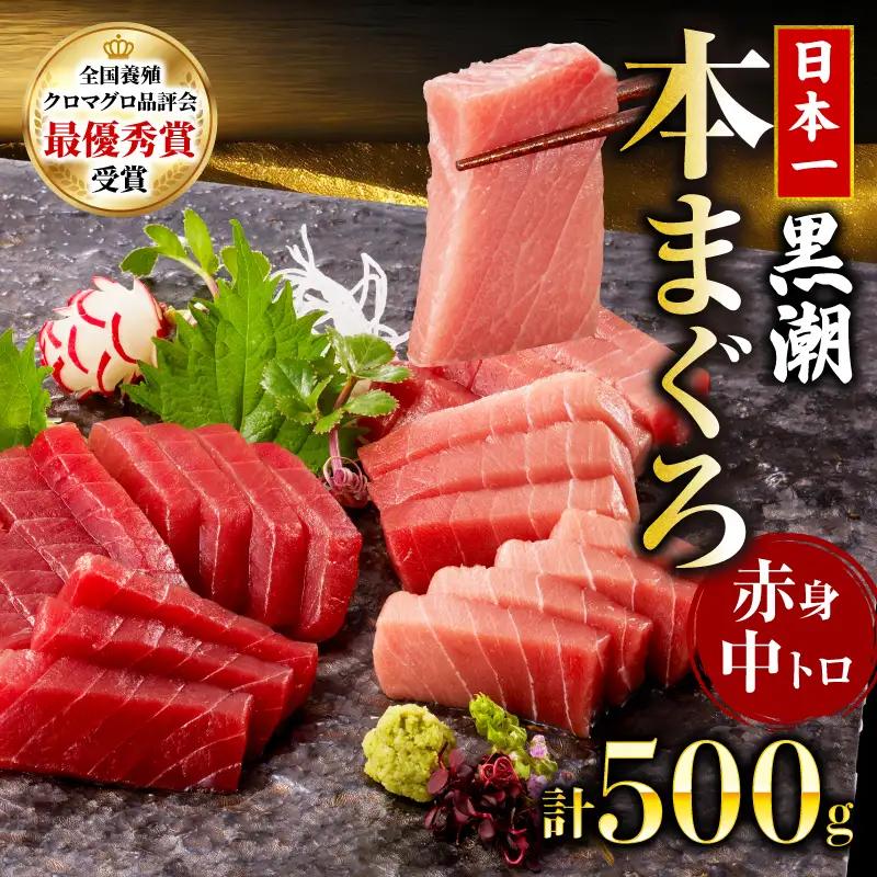 本マグロ2種セット 中トロ 赤身 500g まぐろ