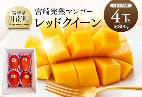 【令和7年発送】宮崎県産完熟マンゴー 「レッドクイーン」4玉(800g) 【 果物 フルーツ マンゴー 宮崎県産 完熟マンゴー みやざきマンゴー 先行予約 数量限定 期間限定 】 [D03215]