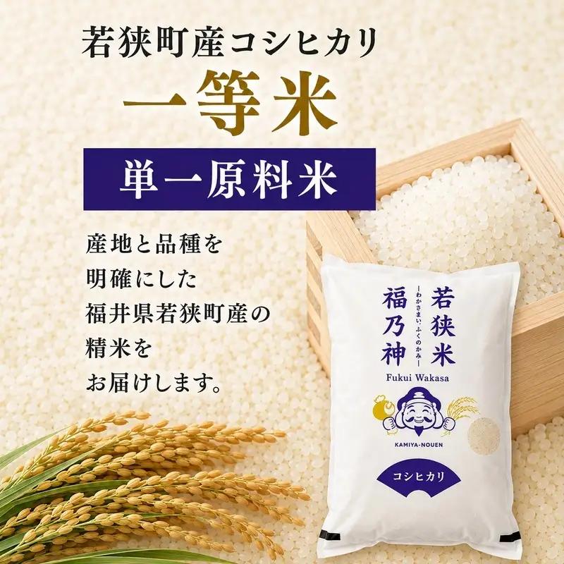 米 コシヒカリ 新米 10kg 一等米 米