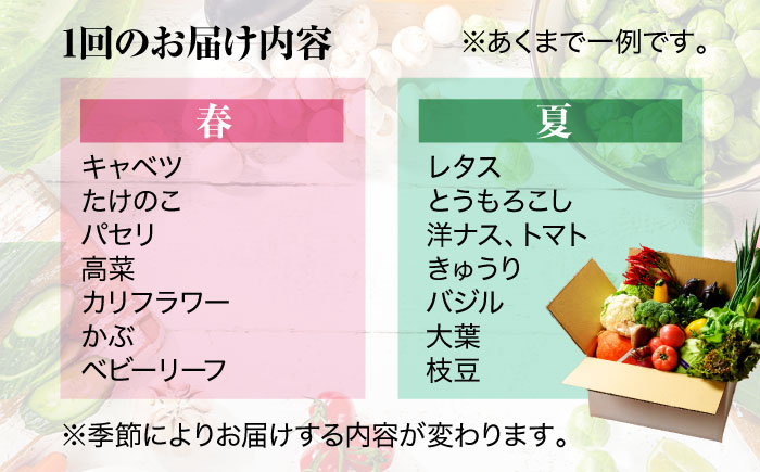 【全6回定期便】【シェフの目線】栽培期間中農薬不使用！大満足 旬のお野菜セット　愛媛県大洲市/有限会社ヒロファミリーフーズ [AGBX004]野菜 サラダ カレー 農業 トマト 料理  きゅうり 鍋 