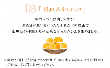 早生みかん6.5kg(大小混合)《ご家庭用》ちょっと訳あり　和歌山県より農園直送！まごころ産直みかん 【北海道・沖縄県・一部離島 配送不可】混合サイズ　ミカン　蜜柑　温州みかん　わけあり　訳アリ