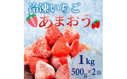 
                  【福岡スイーツ自然の贈り物】かわいい化粧箱入り！福岡県産冷凍あまおう合計1kg(500g×2袋)【イチゴ いちご 苺 あまおう 果物 くだもの 博多名物 冷凍 スイーツ 贈答用 ギフト プレゼント 食品 人気 おすすめ 福岡県 大任町 BC015】
                