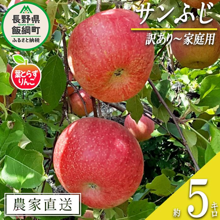 【ふるさと納税】 りんご 葉とらず サンふじ 訳あり 5kg 米澤農園 沖縄県への配送不可 令和7年度収穫分 長野県 飯綱町 〔 傷 不揃い リンゴ 林檎 果物 フルーツ ふじ 信州 長野 13500円 予約 農家直送 〕発送時期：2025年11月下旬〜2025年12月下旬 {*}
