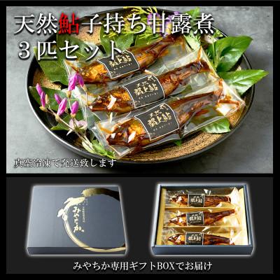 ふるさと納税 郡上市 天然鮎専門店みやちかの【天然鮎子持ち甘露煮】長良川郡上鮎　3匹 |  | 01