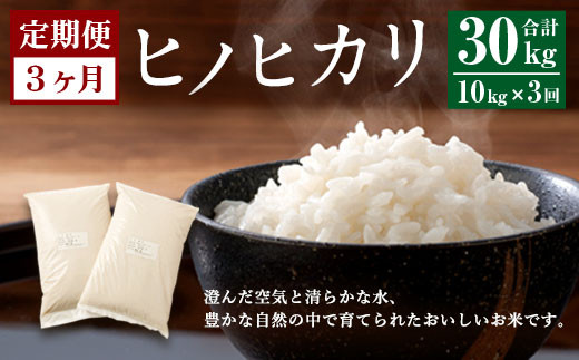 
            【3ヶ月定期便】 大分県産 ヒノヒカリ 10kg 計30kg 【2025年11月上旬発送開始】
          