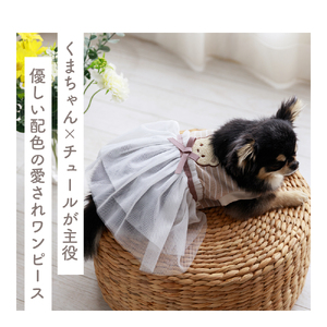 アニマルチュールワンピース くま  チュール ドッグウェア 犬服 前開き【ココアトワ(cocoAtoi)】 Ｍ