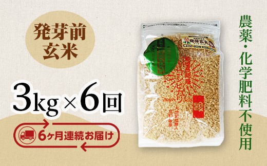 E1-H036B【6ヶ月連続お届け】新潟県長岡産コシヒカリ 発芽前玄米 3kg
