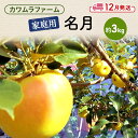 【ふるさと納税】りんご 【12月発送】カワムラファーム 家庭用 名月 約3kg 【弘前市産 青森りんご】 青森 弘前　お届け：2024年12月1日～2024年12月25日