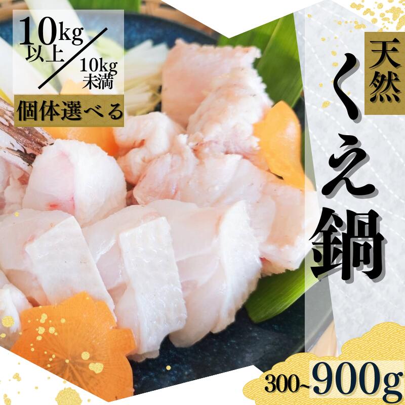 【ふるさと納税】くえ 天然 クエ鍋用 身とアラのセット(上身・あら) 選べる ＜10kg以上/ 10kg未満＞1人前300g〜3人前900g / くえ クエ クエ鍋 高級 高級魚 鍋 九絵 天然 魚 魚貝 海鮮 海産 和歌山 串本町