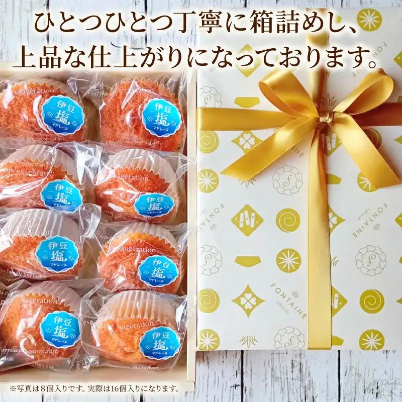 伊豆塩マドレーヌ詰合せ（16個入）[お菓子 焼き菓子]