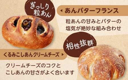 【12回定期便】 あんこ好きの食べ比べ 12個セット 【パンの店 カッタン】 パン あんぱん 大人気店[MEJ012]