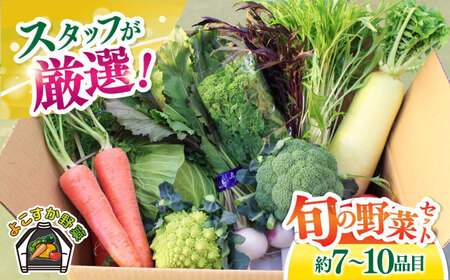 よこすか野菜セット すかなボックス やさい 季節野菜 産地直送 旬 野菜詰め合わせ セット 横須賀 【JAよこすか葉山】 [AKFO001]