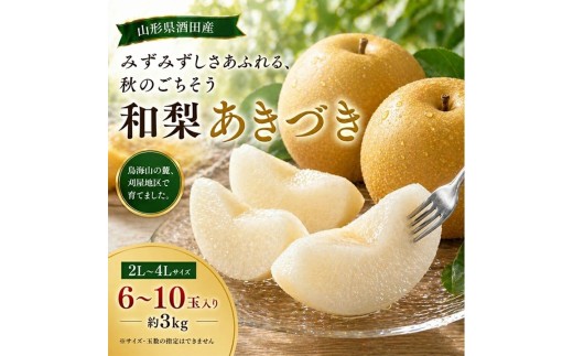 刈屋梨　あきづき　約3kg(6～10玉入) SA2990