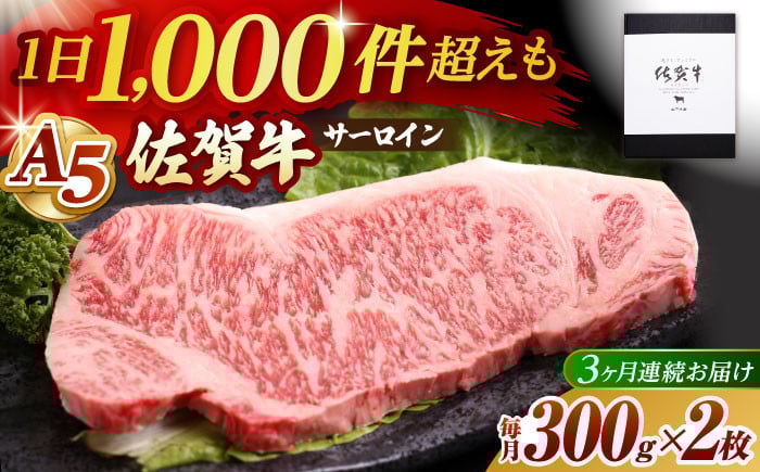 
【全3回定期便】佐賀牛 A5 サーロイン ステーキ 600g ( 300g×2枚 ) 【山下牛舎】 [HAD066]
