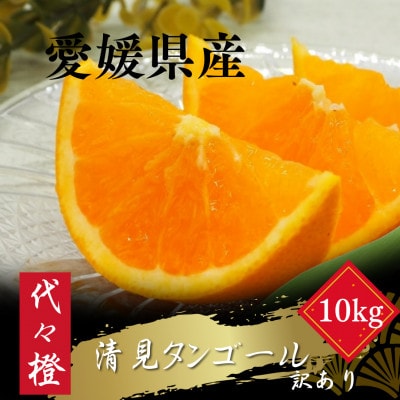 【トロッととろける果実】【訳あり】清見タンゴール 10kg【E83−26】【1557490】