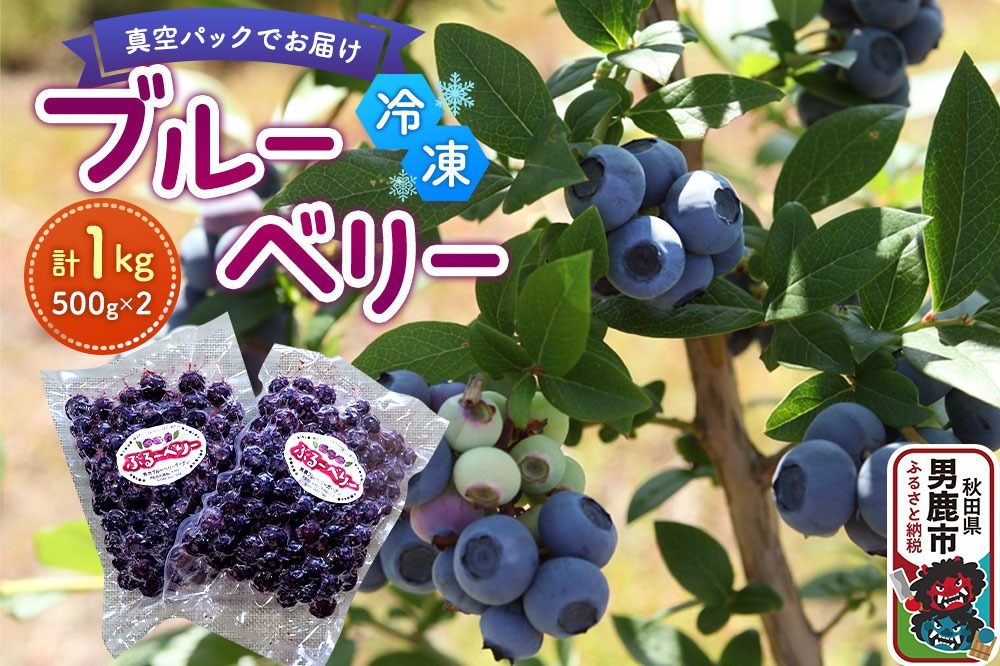 【男鹿ぶるーべりーガーデン】 冷凍ブルーベリー 500g×2パック（合計1kg）秋田県 男鹿市|23_sea-021001