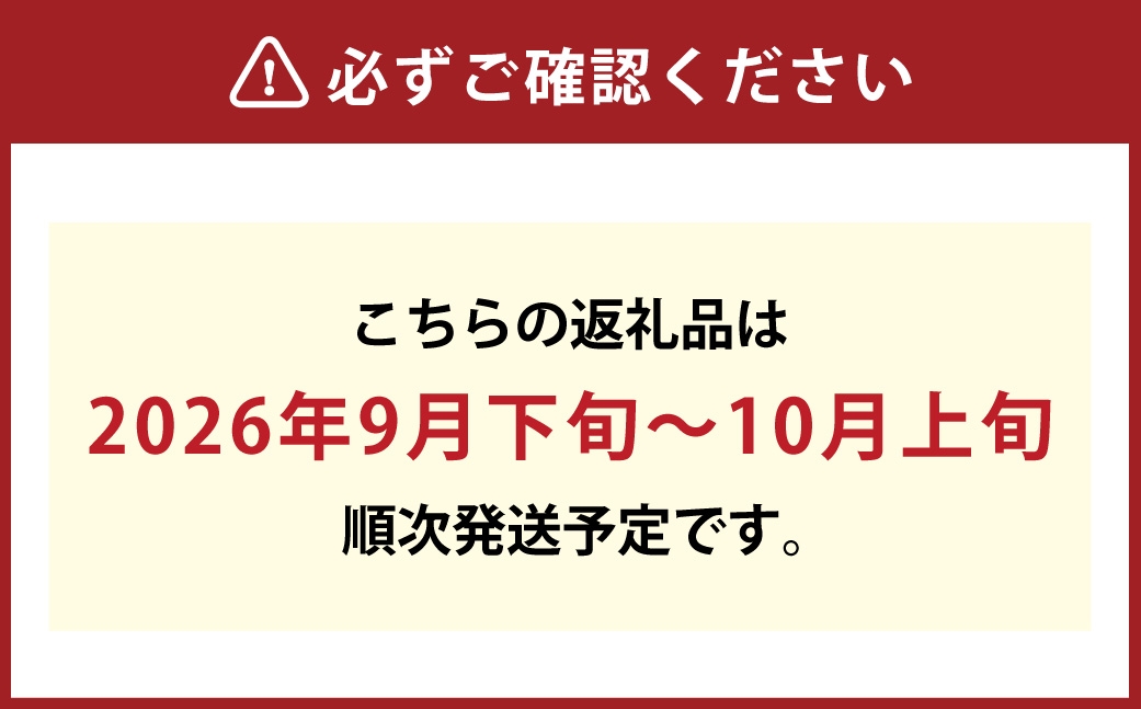 新高梨青秀以上