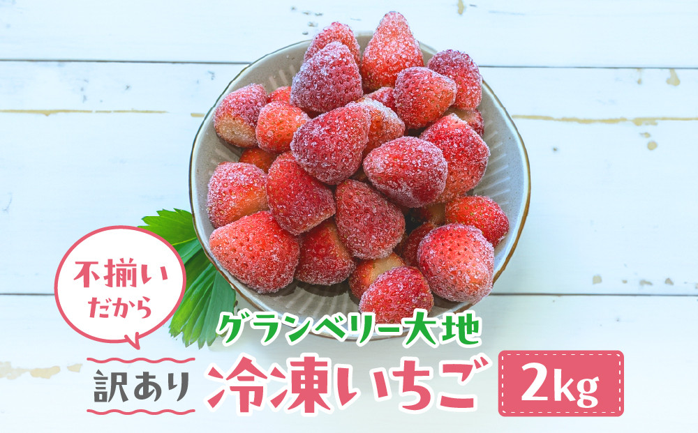 
            【訳あり】冷凍いちご 2kg いちごイチゴ 苺 冷凍 シェイク スムージー 冷たい グランベリー大地 茨城県 常総市 ※沖縄県・離島への配送不可
          