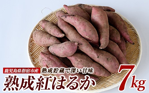 指宿産 紅はるか 約7kg(アグリスタイル/A-301) 鹿児島 サツマイモ 薩摩芋 指宿市 焼芋 やきいも 焼きいも スイーツ おやつ デザート