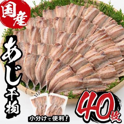 ふるさと納税 門川町 九州産あじ干物(40枚)