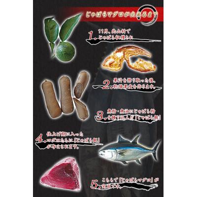 ふるさと納税 北山村 本マグロ(養殖)トロ&赤身セット 240g【nks113】 |  | 01