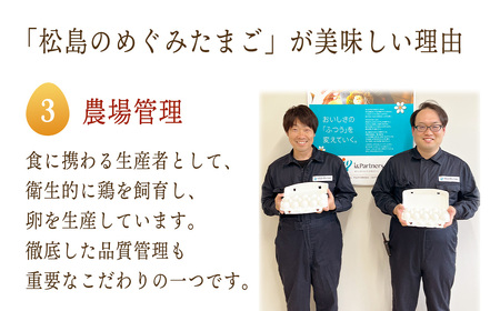 松島のめぐみたまご　40個入り　3ヵ月定期便 No.163
