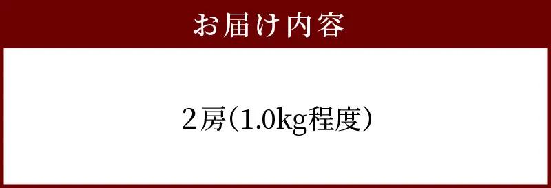【2027年先行予約】甘くてジューシー産直　旬のぶどう竜宝　2房 （約1.0kg）フルーツ 葡萄  産直 DL-0003