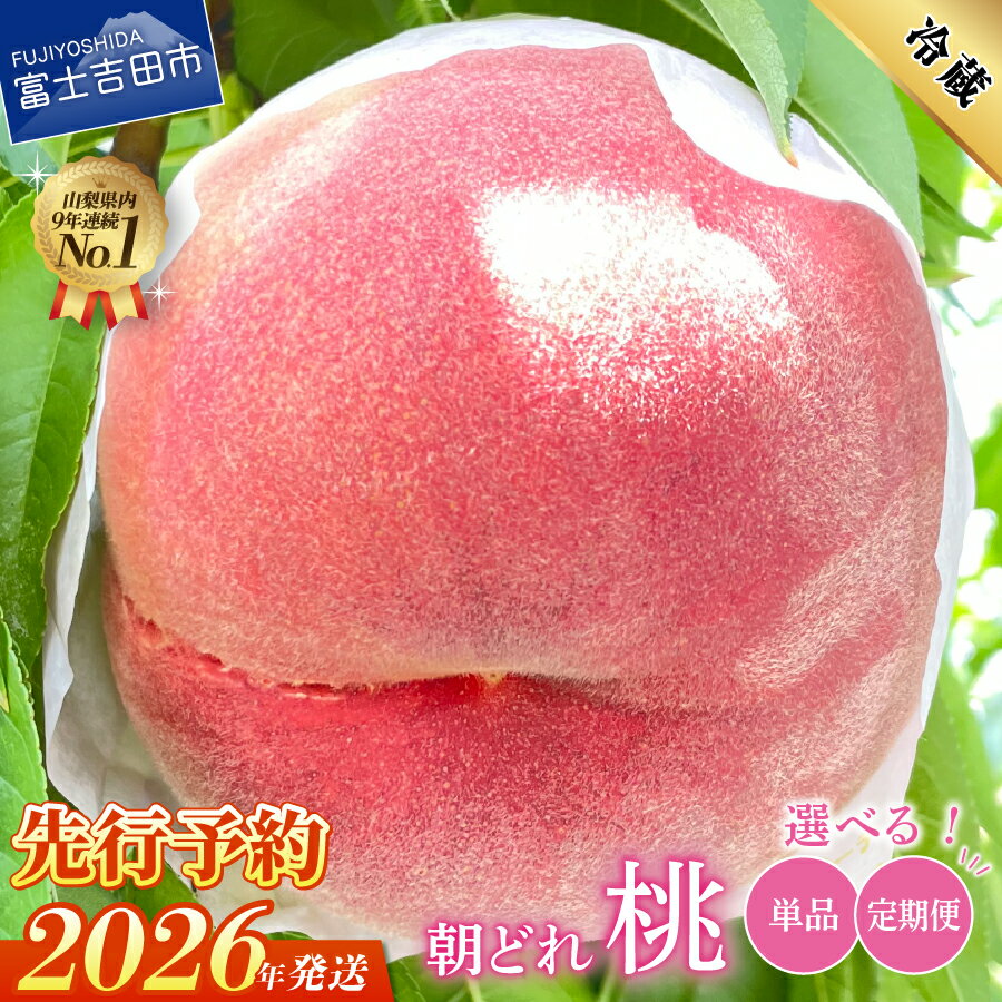 桃 山梨 朝どれ もも 2kg 大玉5玉～7玉 くだもの フルーツ 山梨県 産地直送 モモ