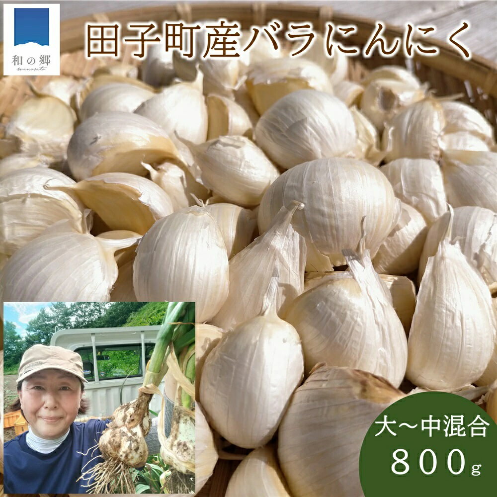 【ふるさと納税】【訳あり】田子（たっこ）バラにんにく約800g（青森県田子町産にんにく中～大粒サイズ混合）　薬味　お届け：10月1日〜3月31日まで
