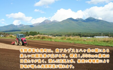 【先行予約】にんじんジュース 200ml 30本 にんじんのとりこ 甘くて 飲みやすい ストレート果汁 八ヶ岳わくわくファーム ※2026年8月上旬より順次発送