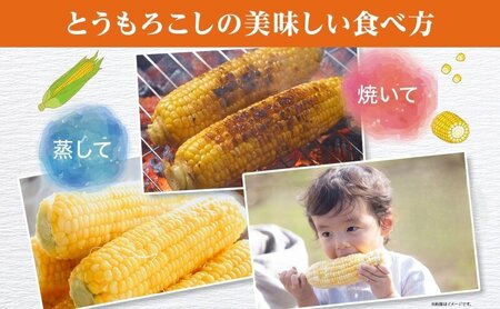 北海道 朝もぎ とうもろこし 恵味 ゴールド 15本 トウモロコシ コーン スイートコーン イエローコーン 黄色 とうきび もぎたて 旬 農作物 甘い おまかせ 十勝 党崎農場 送料無料