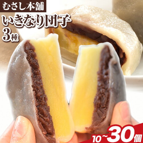 【ふるさと納税】 お菓子 スイーツ むさし本舗の いきなり団子 10個 20個 30個 (黒粒あん 黒こしあん 白あん ) 団子 さつまいも 和菓子 特産品 郷土料理 お土産 ギフト 熊本県 長洲町《60日以内に出荷予定(土日祝除く)》