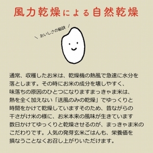 【特別栽培米】石川県産 こしひかり 棚田米【白米】 5kg 令和7年度産