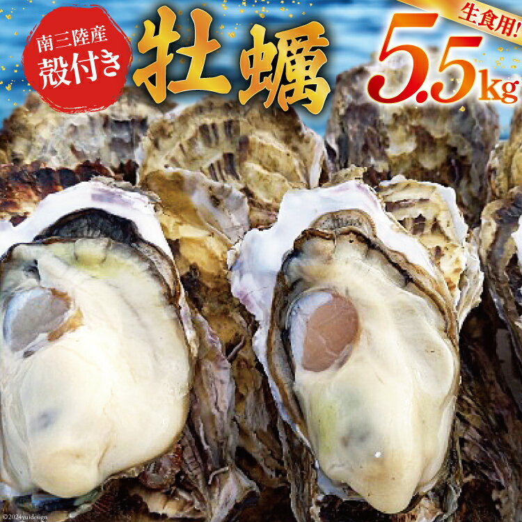 【ふるさと納税】【期間限定発送】牡蠣 南三陸志津川産 殻付き牡蠣 5.5kg 30個前後 [南三陸牡蠣倶楽部 宮城県 南三陸町 30ao0002] カキ かき 生牡蠣 魚貝類 生牡蠣 貝 海鮮 魚介類 オイスター カキフライ カキ鍋 アヒージョ 魚介 期間限定 冷蔵 新鮮 濃厚